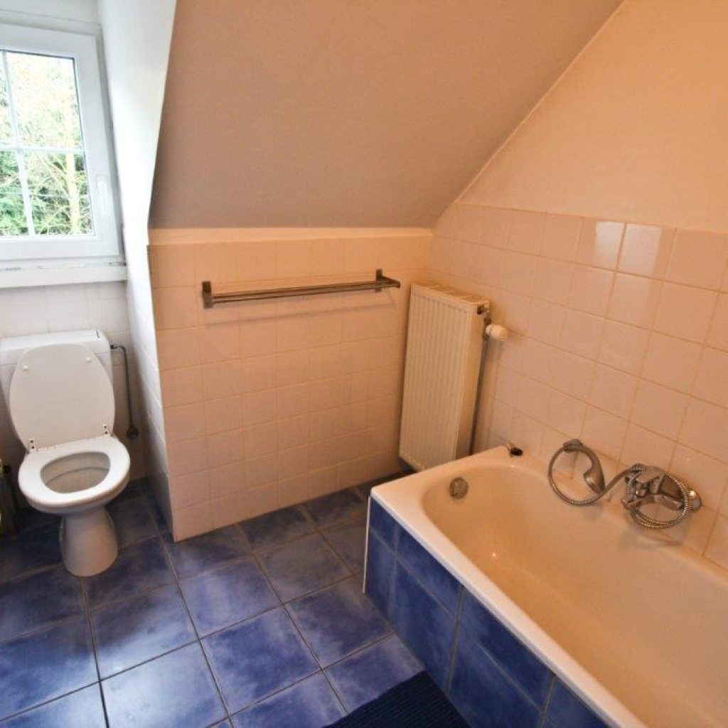 sdbain chevalerie